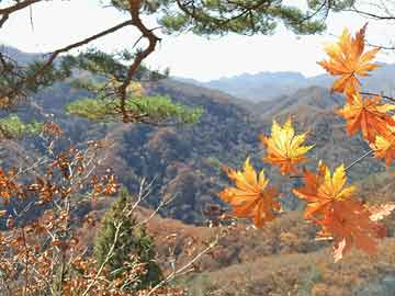 柳州城南医院有没有打胎药（城南医院有哪些科室）